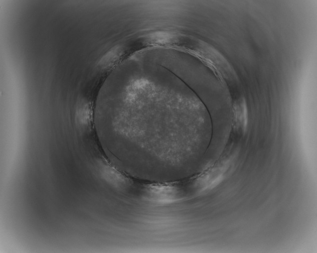 X0000111670284200907171620