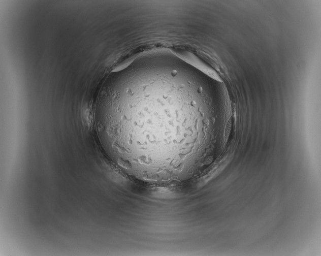 X0000111670285200907171620