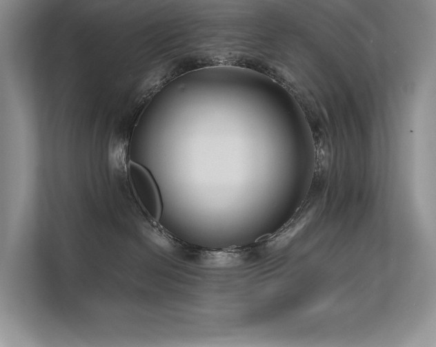 X0000111670286200907171620