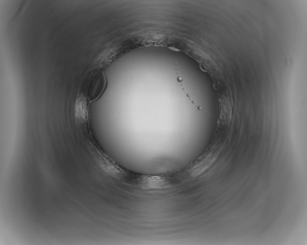 X0000111670287200907171620