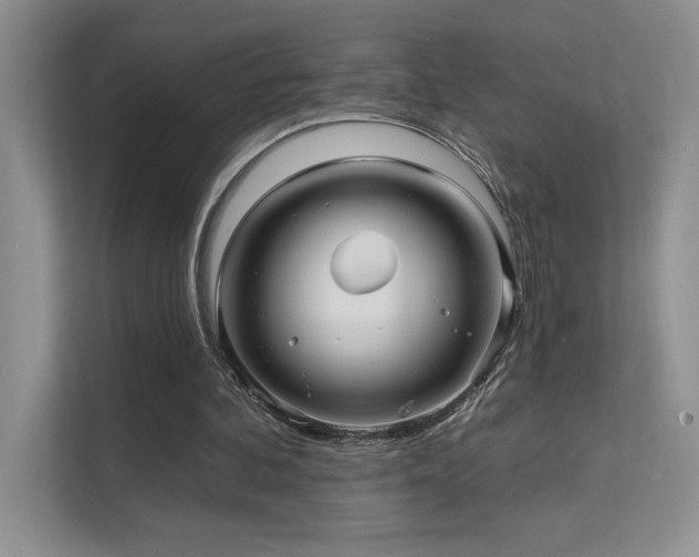 X0000111670292200907171619