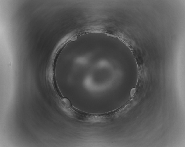 X0000111670293200907171619