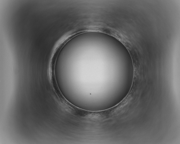 X0000111670294200907171619