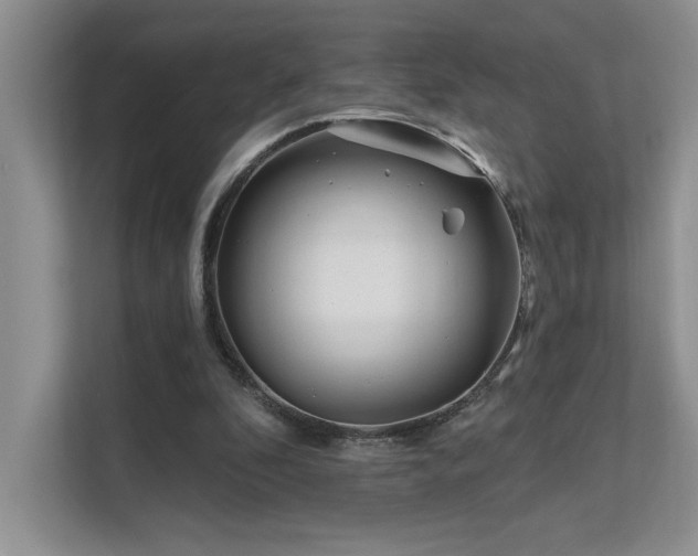 X0000111670296200907171619