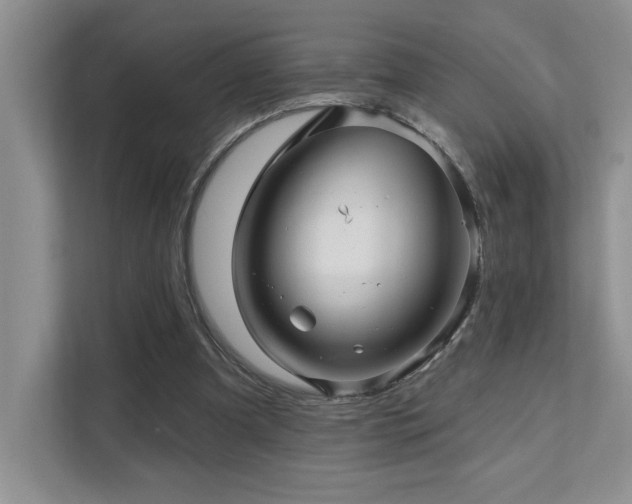 X0000111670297200907171619