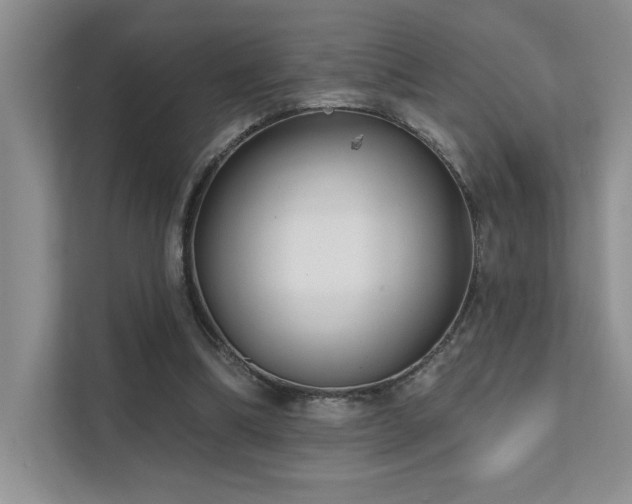 X0000111670298200907171619