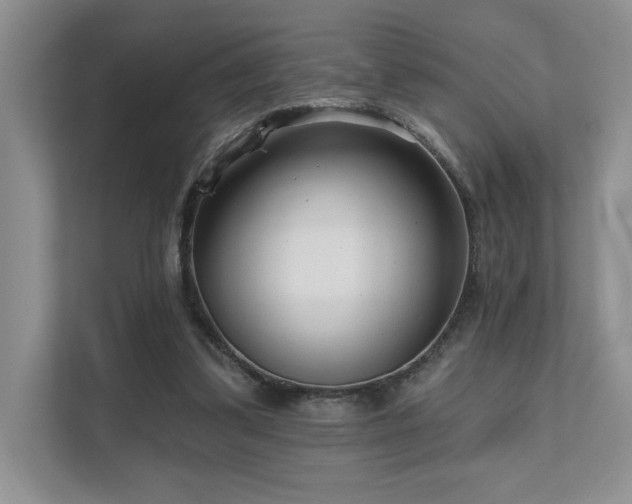 X0000111670299200907171619