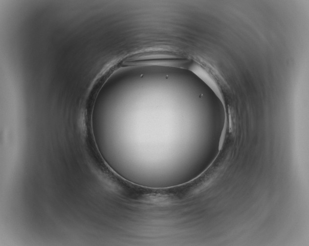 X0000111670300200907171619