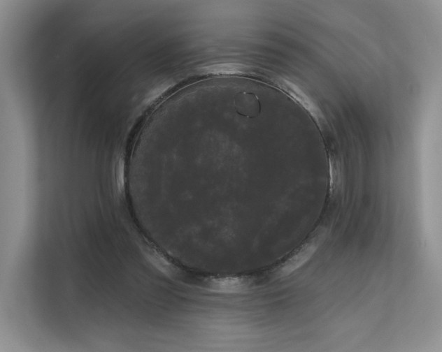 X0000111670301200907171619