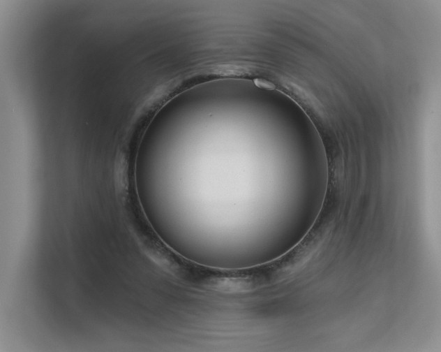 X0000111670303200907171619