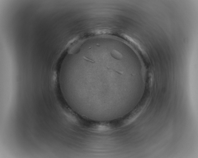 X0000111670308200907171619