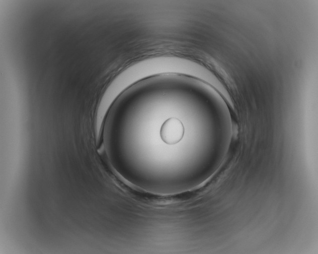 X0000111670313200907171619