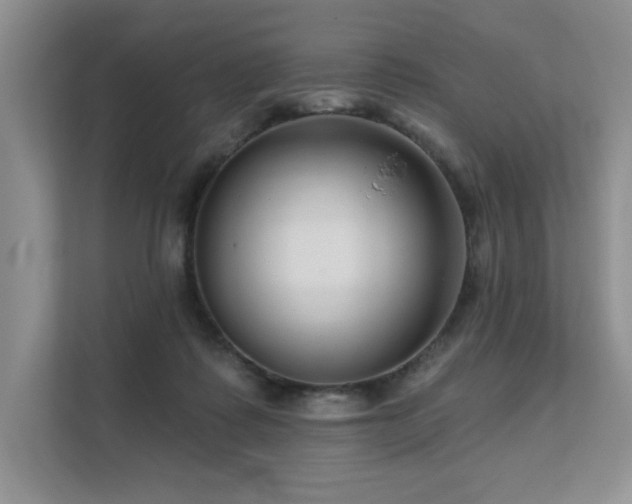 X0000111670315200907171619