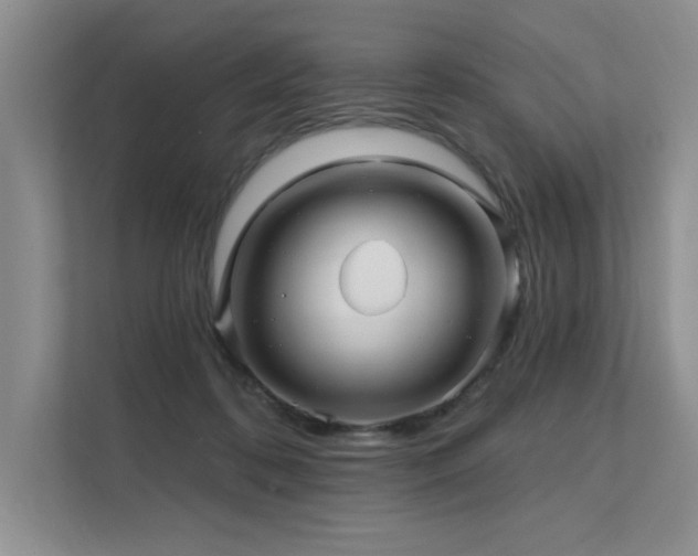 X0000111670316200907171619