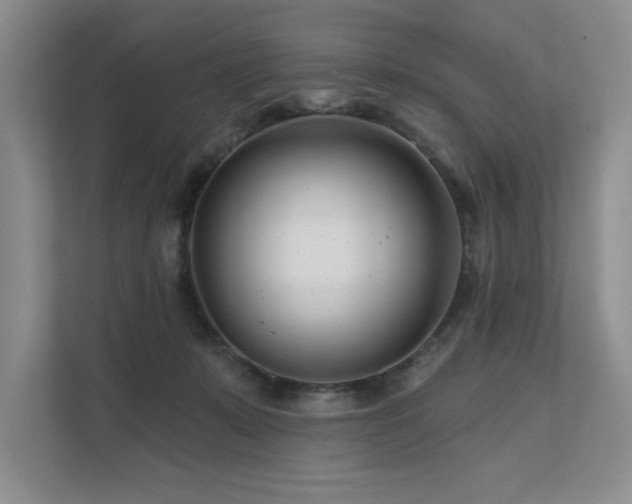 X0000111670319200907171619