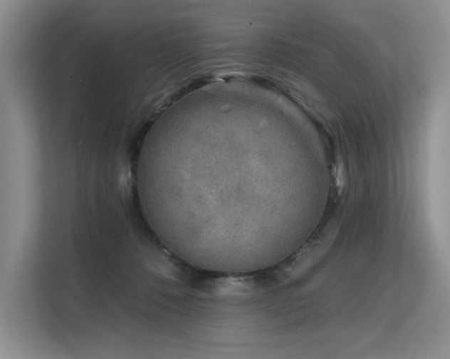 X0000111670320200907171619