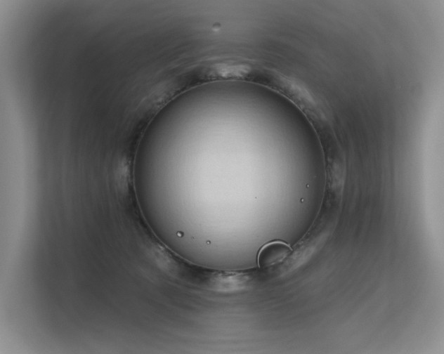 X0000111670321200907171619