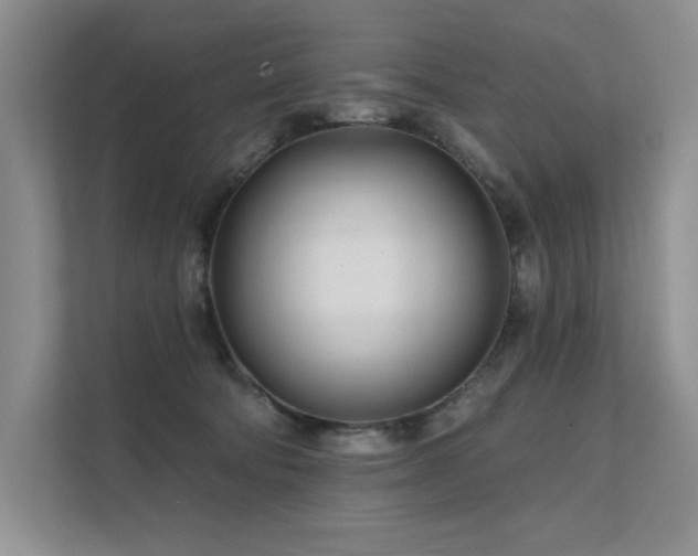 X0000111670322200907171619