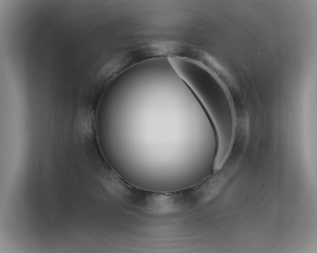 X0000111670325200907171619