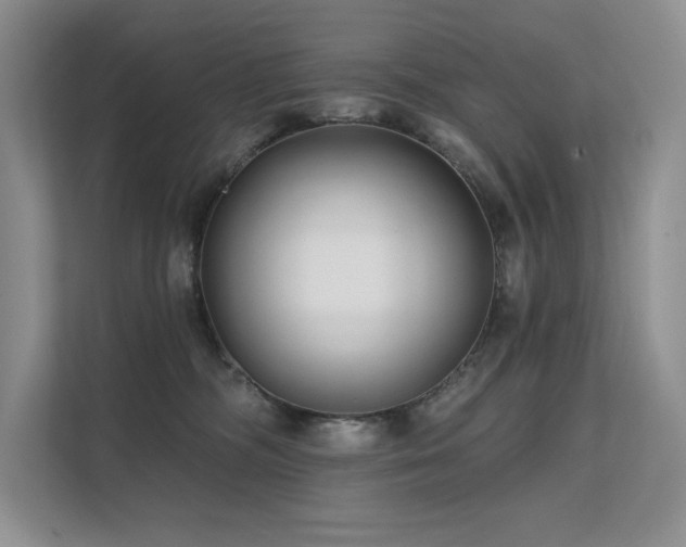 X0000111670326200907171619