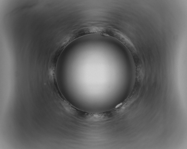 X0000111670329200907171619