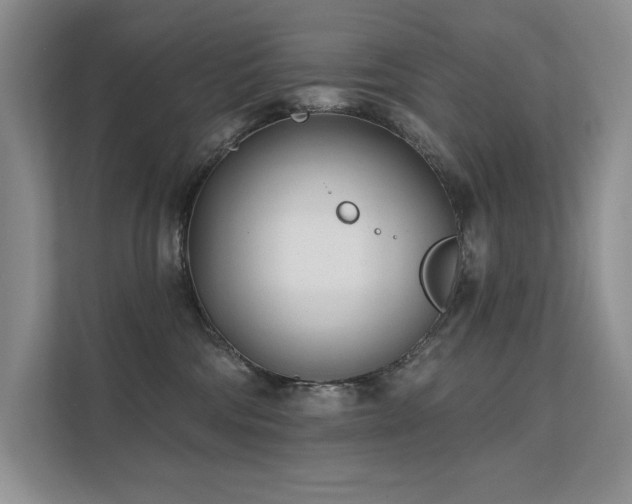 X0000111670330200907171619