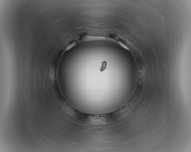 X0000111670331200907171619