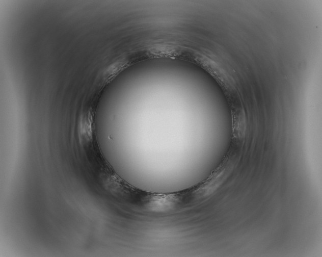 X0000111670334200907171619