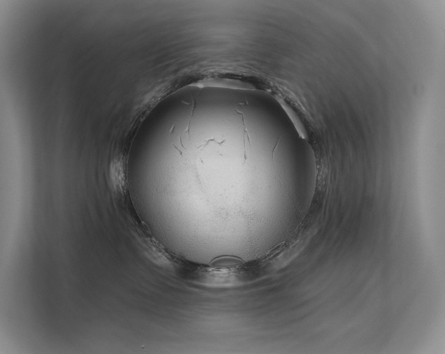 X0000111670335200907171619