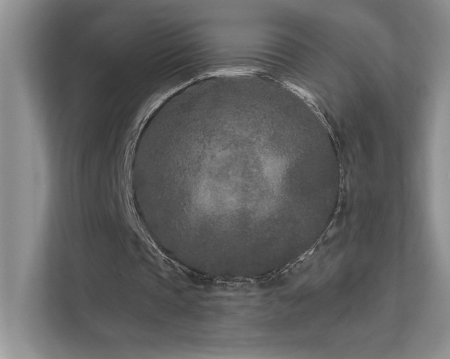 X0000111670337200907171618