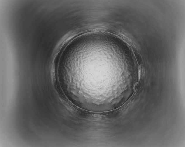 X0000111670339200907171618