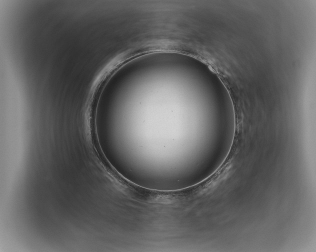 X0000111670341200907171618