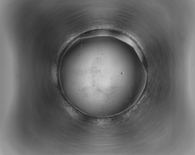 X0000111670345200907171618