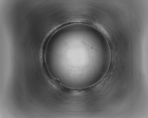 X0000111670346200907171618