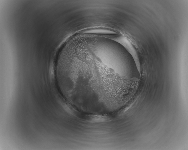 X0000111670347200907171618