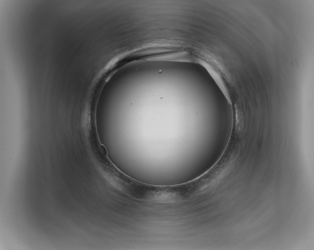 X0000111670348200907171618