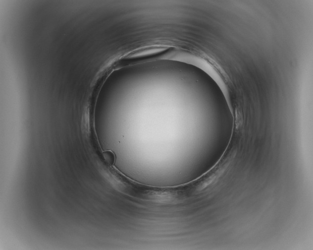 X0000111670349200907171618