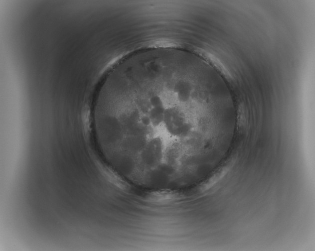 X0000111670351200907171618