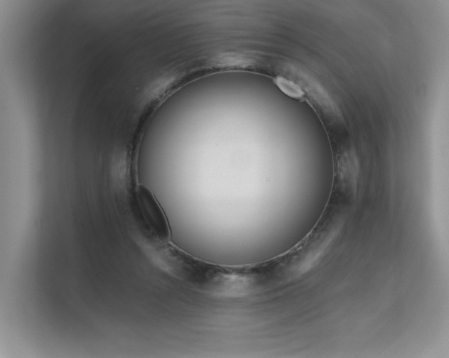 X0000111670352200907171618