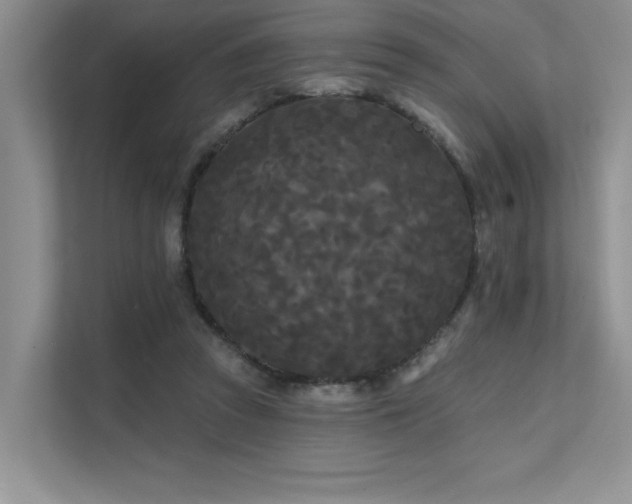 X0000111670353200907171618