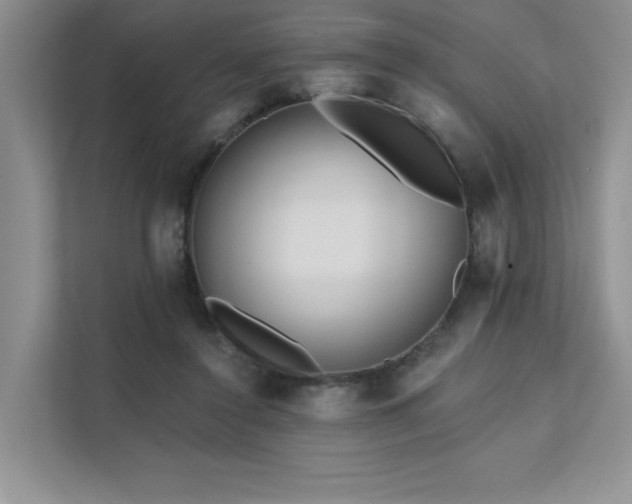 X0000111670356200907171618