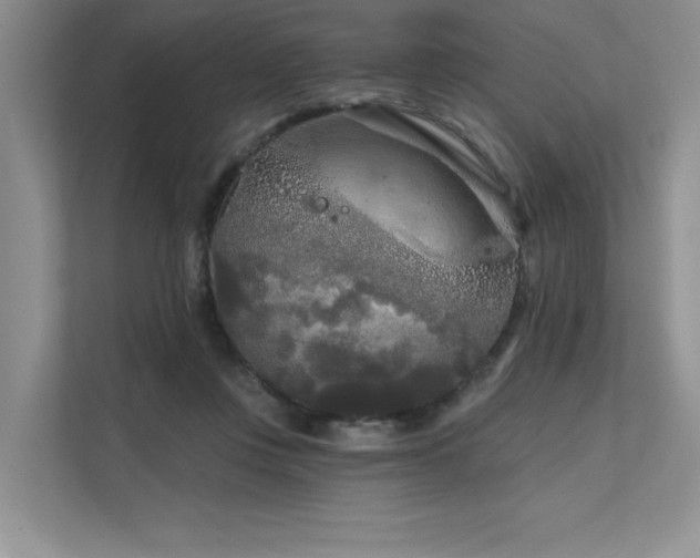 X0000111670359200907171618