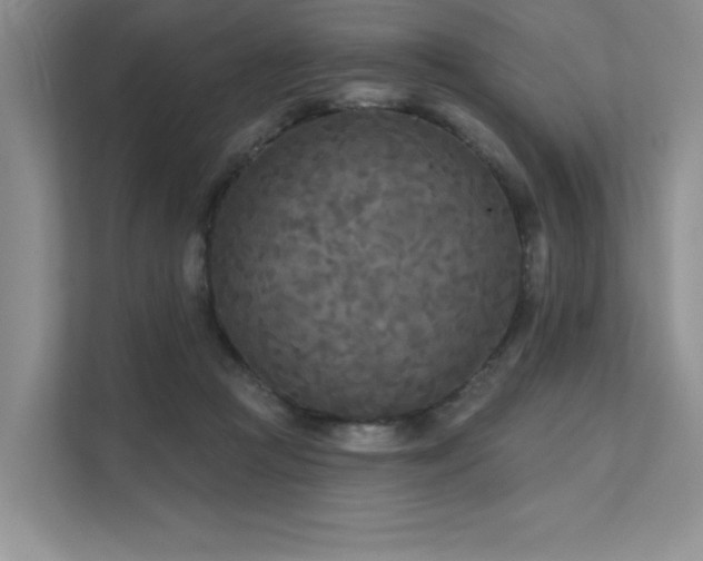 X0000111670361200907171618