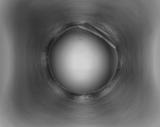 X0000111670366200907171618