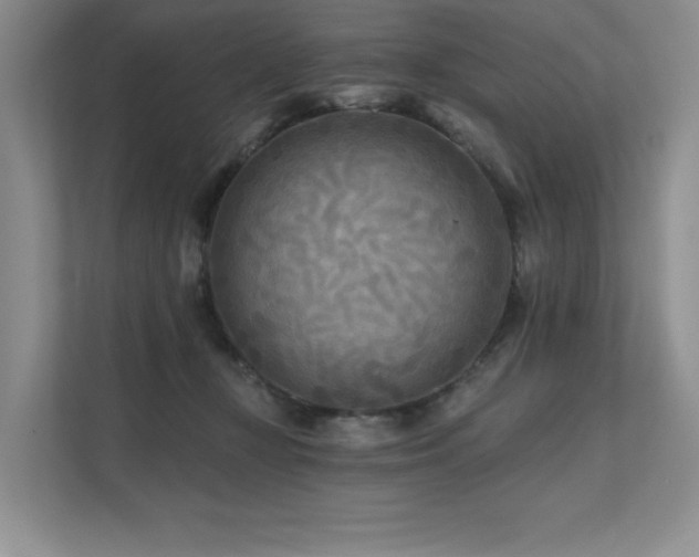 X0000111670367200907171618