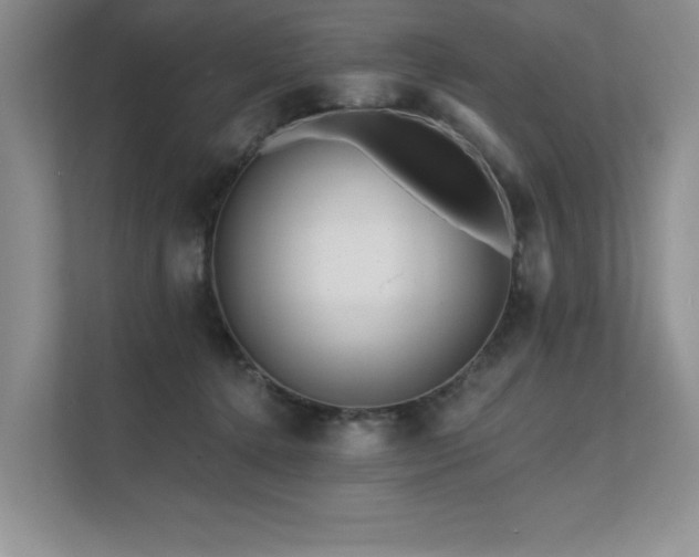 X0000111670368200907171618