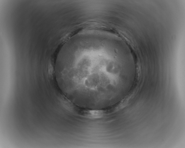 X0000111670371200907171618