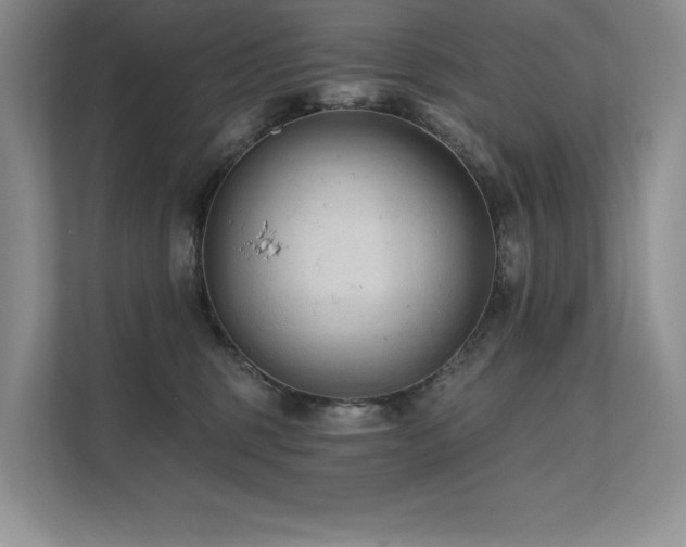 X0000111670375200907171618