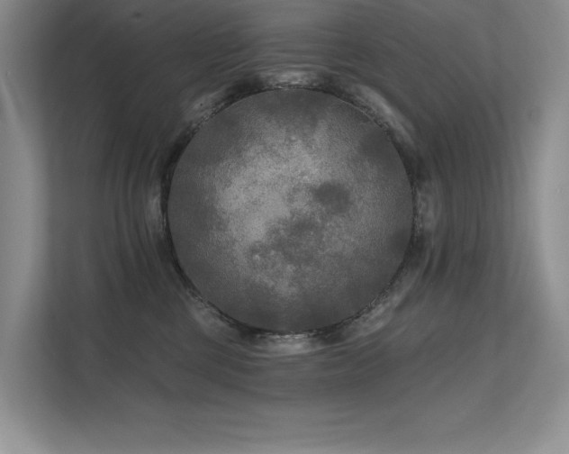 X0000111670377200907171618