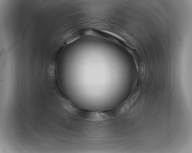 X0000111670379200907171618